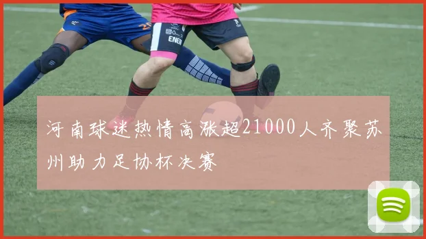 河南球迷热情高涨超21000人齐聚苏州助力足协杯决赛